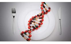 转基因产品检测、转基因作物筛查
