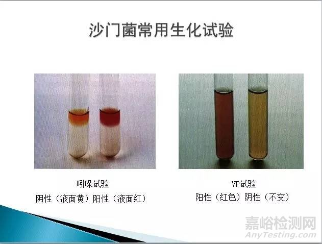 沙门氏菌检测标准、方法及实验关键点