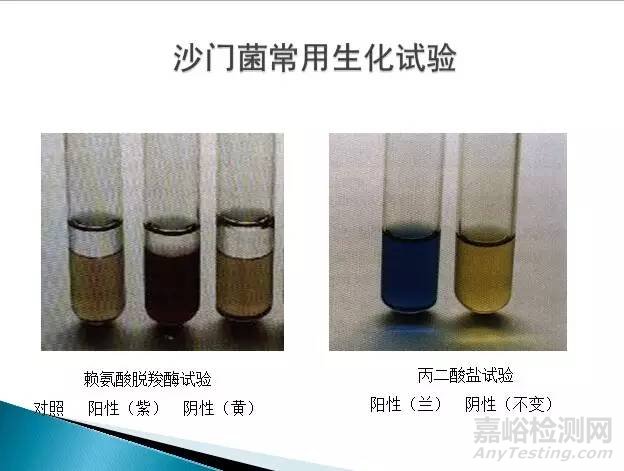 沙门氏菌检测标准、方法及实验关键点