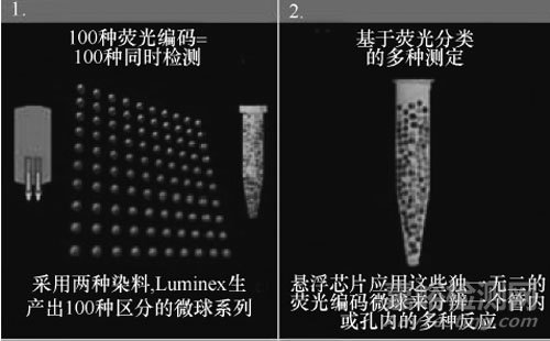 悬浮球的原理_伯努利原理悬浮球(2)