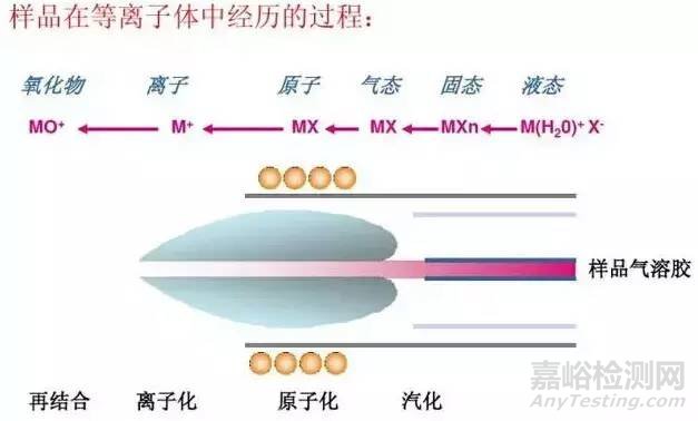 ICP-MS仪器全解析