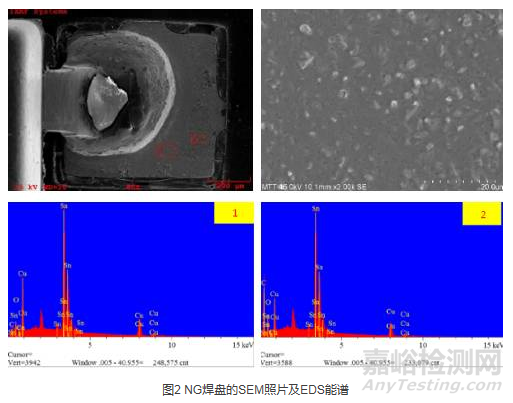 NG焊盘的SEM照片及EDS能谱