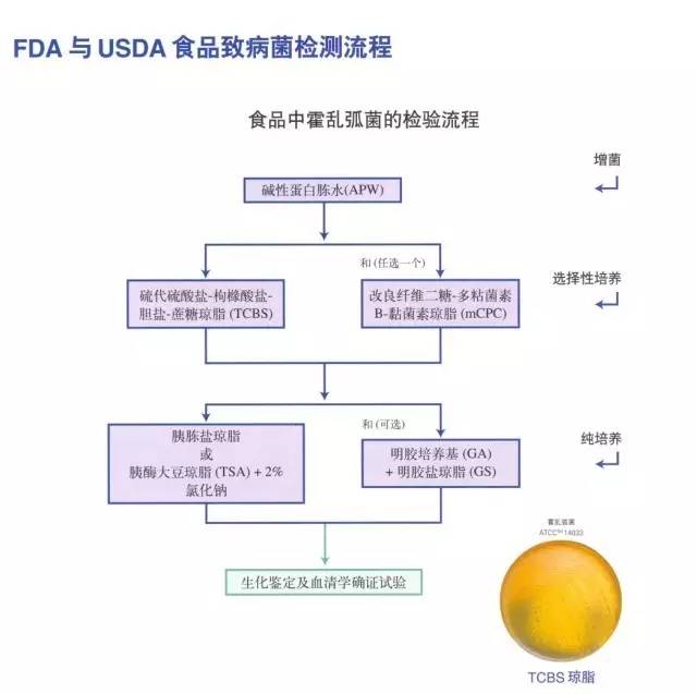  FDA与USDA食品致病菌检测流程