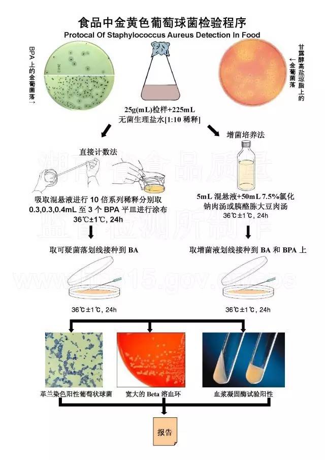  FDA与USDA食品致病菌检测流程