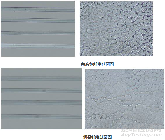 再生纤维素纤维显微镜鉴别方法