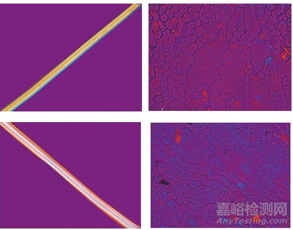 再生纤维素纤维显微镜鉴别方法