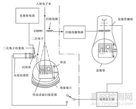 扫描电子显微镜