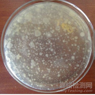 菌落总数测定新版国标GB 4789.2-2016检测要点