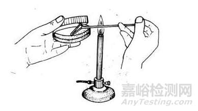 微生物检验——细菌的接种方法