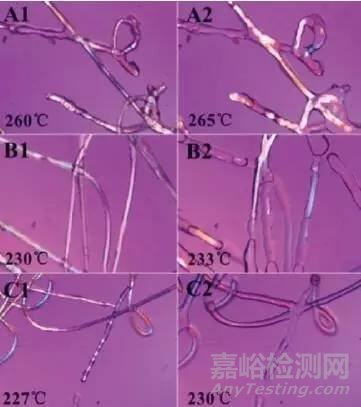 两种聚酯复合纤维的定性鉴别方法探讨