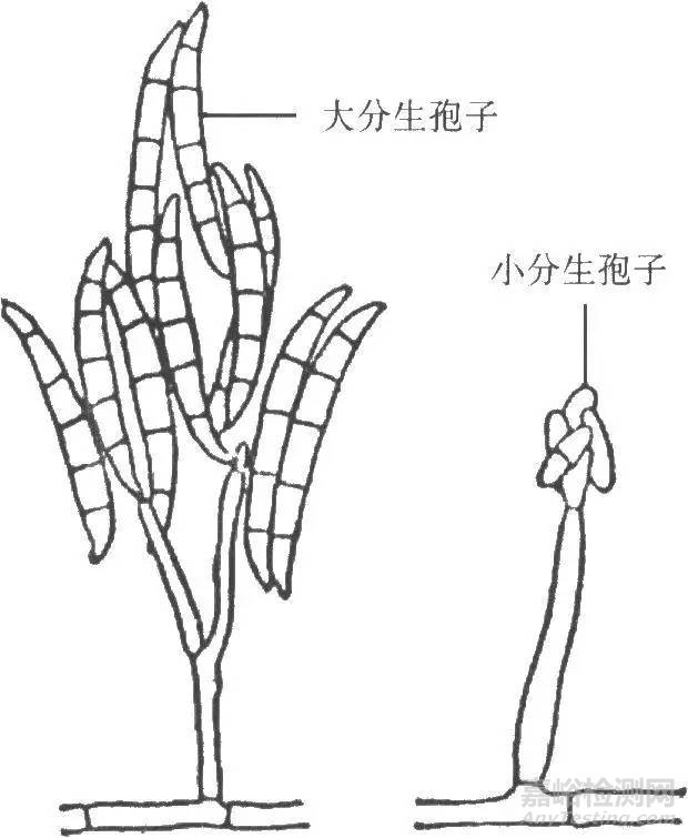 食品生产车间霉菌超标处理方法
