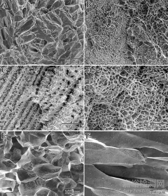 拉伸试验材料断裂面扫描电镜图像