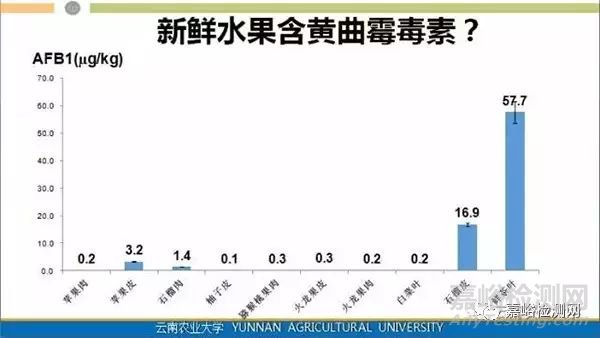 普洱茶致癌，黄曲霉素