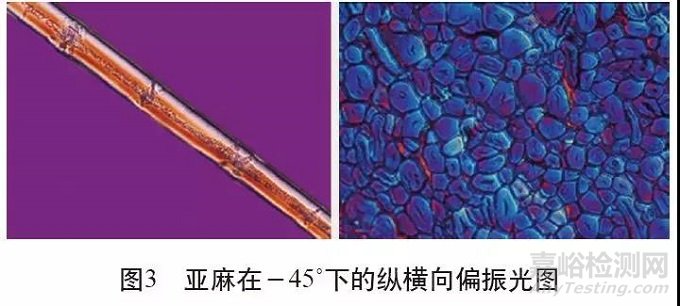 各类麻纤维在不同显微镜下的特征分析