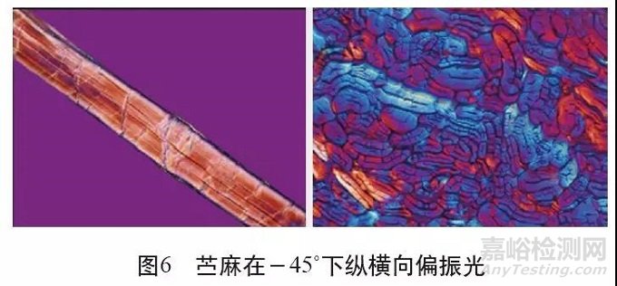 各类麻纤维在不同显微镜下的特征分析