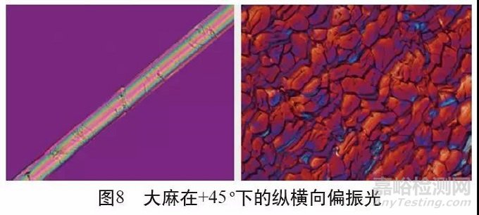 各类麻纤维在不同显微镜下的特征分析