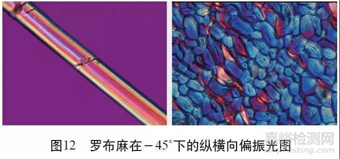 各类麻纤维在不同显微镜下的特征分析