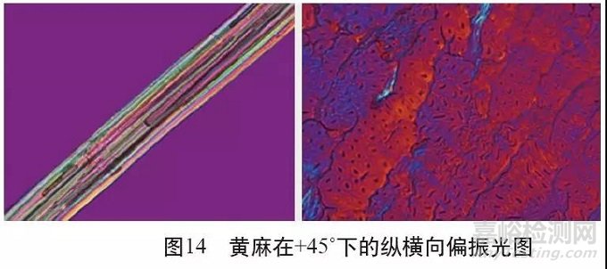 各类麻纤维在不同显微镜下的特征分析