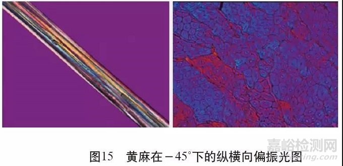 各类麻纤维在不同显微镜下的特征分析