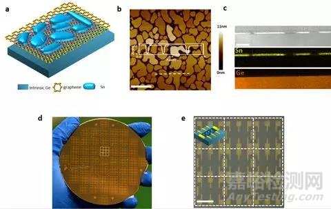 Nature子刊：二维超导体双量子相变研究新进展