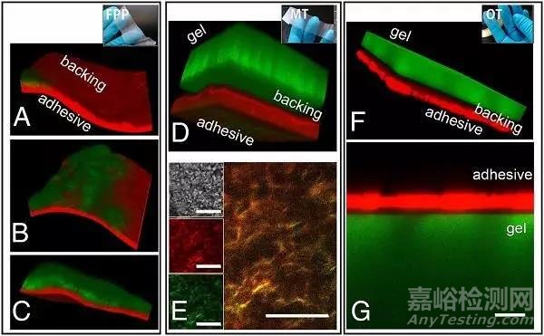 佛罗伦萨大学Proc. Nat. Acad. Sci.: 用水凝胶安全高效移除纸质艺术品上的黏胶带