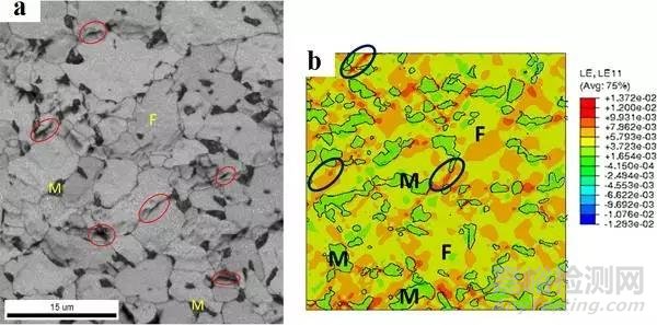 Mater. Sci. Eng. A：DP600激光焊接接头显微组织变化对低周疲劳性能的影响：实验和数值模拟