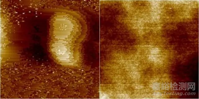 原子力显微镜（AFM）的使用和成像技巧