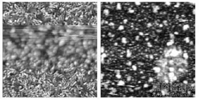 原子力显微镜（AFM）的使用和成像技巧