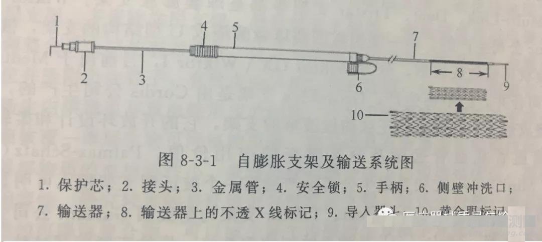 血管支架基础知识血管支架分类以及性能概述