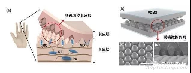 柔性可穿戴传感器发展现状