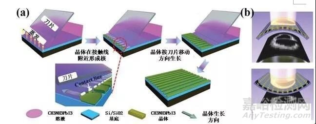 柔性可穿戴传感器发展现状