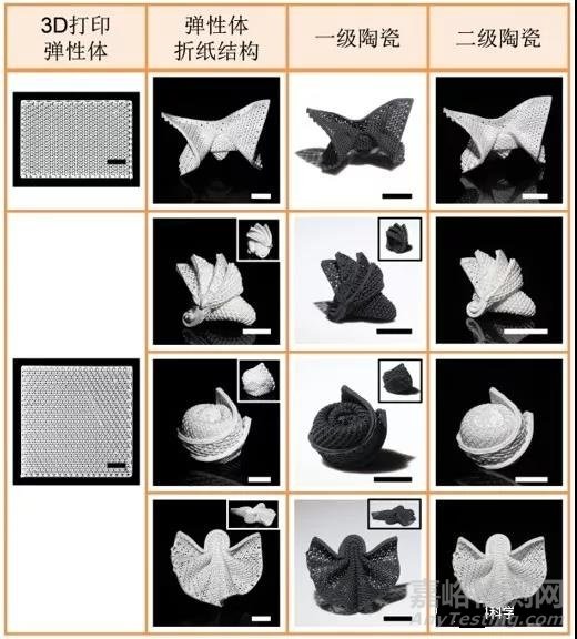 吕坚团队全球首创陶瓷4D打印！