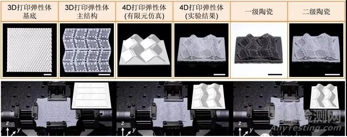 吕坚团队全球首创陶瓷4D打印！