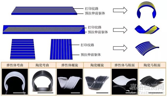 吕坚团队全球首创陶瓷4D打印！