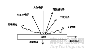 如何使用EDS对材料进行定性定量分析？