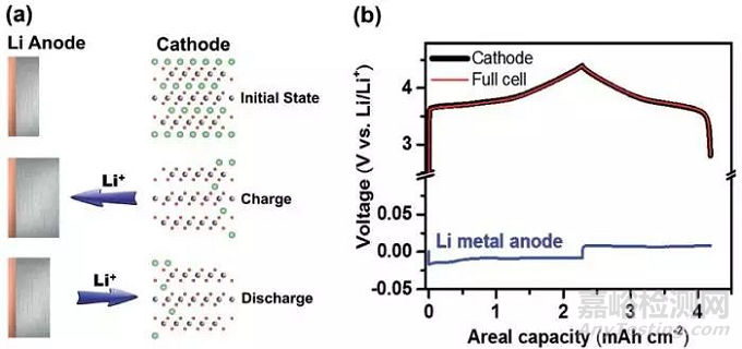 金属锂负极和金属锂电池的库伦效率精确测定方法