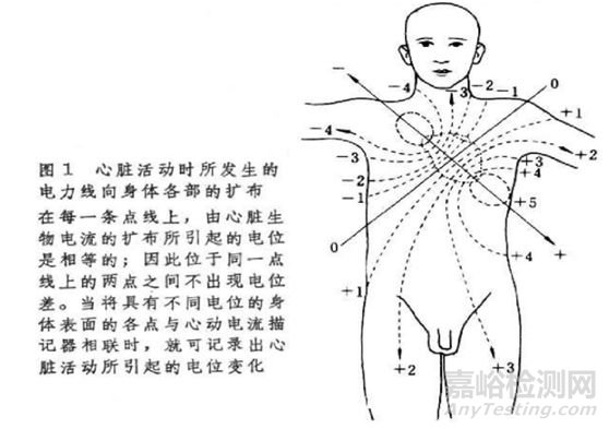 动态心电图系统注册案例分享