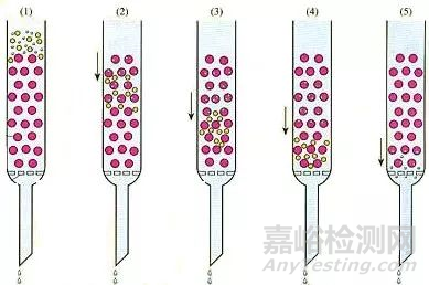 聚合物的分子量评估方法