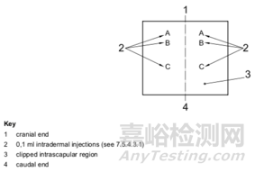 ISO 10993-10:2010皮肤致敏测试标准解读