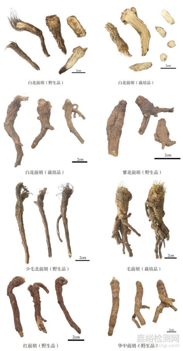 前胡类药材的化学成分及质量控制方法