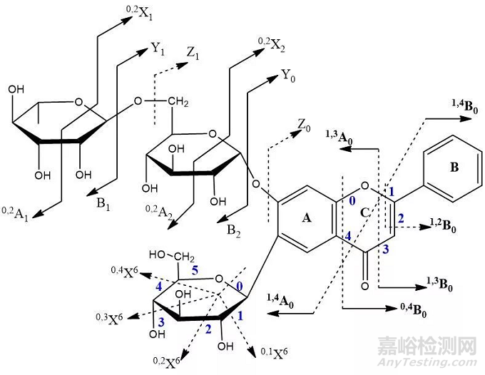 基于代谢组学方法能较为直观和完整地呈现体外复杂体系中化学成分的轮廓差异及其在体内吸收、分布和代谢的差异。