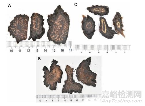 全国肉苁蓉饮片专项抽验情况分析与研究