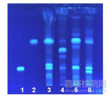 全国肉苁蓉饮片专项抽验情况分析与研究