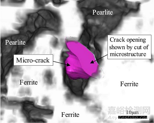 铁素体-珠光体钢中微裂纹的断裂起始位置的三维观察
