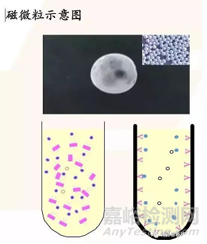 IVD之化学发光技术