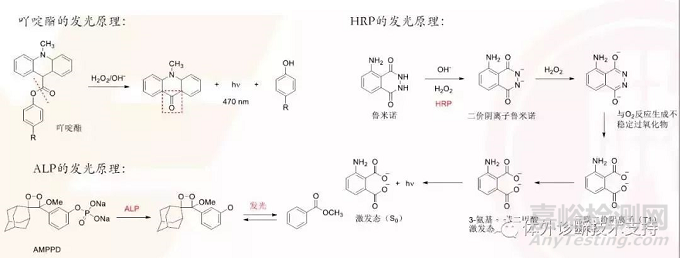 IVD之化学发光技术