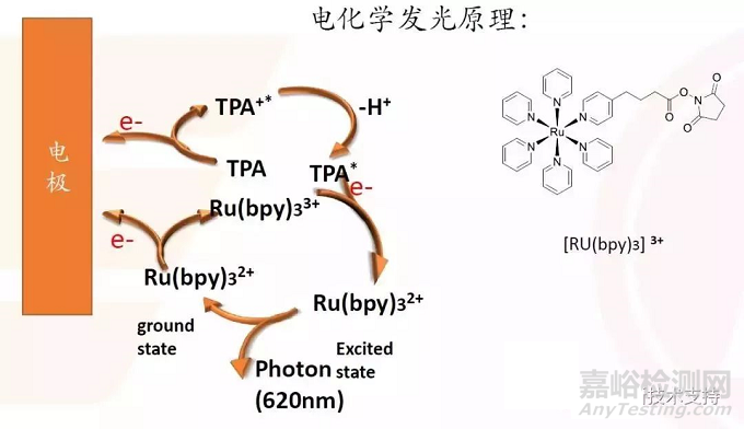 IVD之化学发光技术