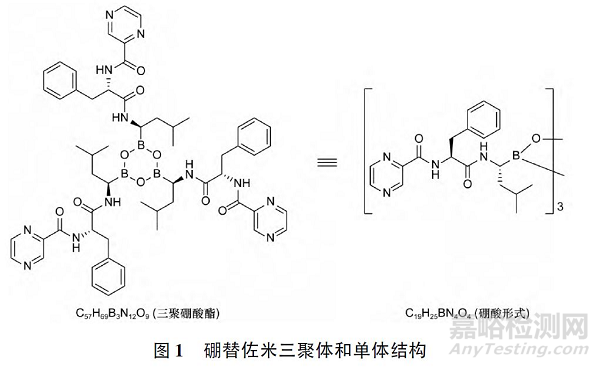 化学仿制药有机杂质分析和控制实例