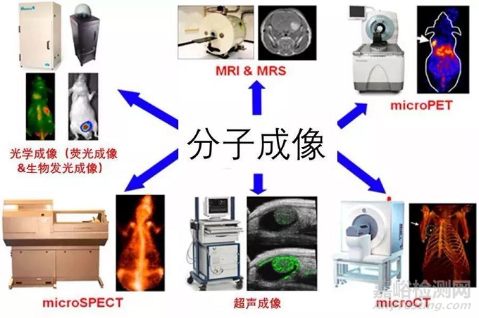 分子影像行业解析：诊断行业新机遇