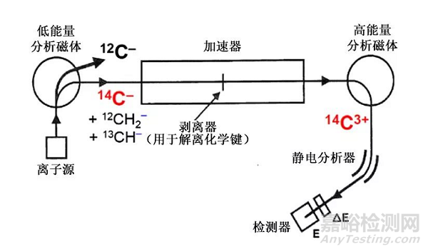 加速器质谱仪在生物基塑料检测中的应用 